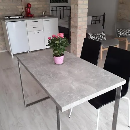 Flora Novi Sad